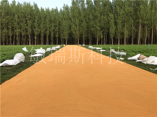 ��ɫ����·��